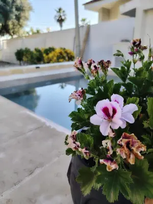 Piscina di Aramara apartment o nelle vicinanze