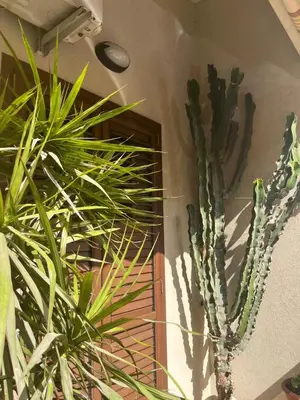 Giardino di Polina Maison
