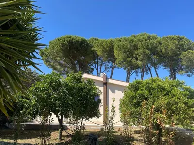 Giardino di B&B Monstera SicilianExperience