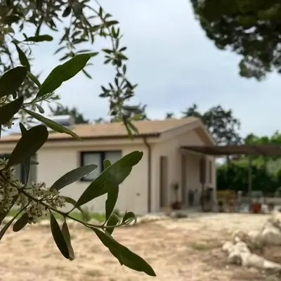 B&B Monstera SicilianExperience