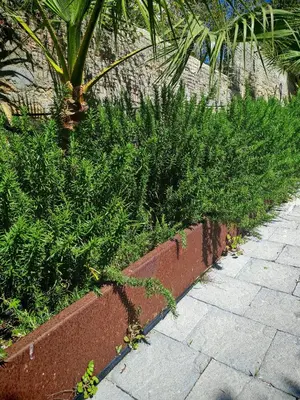Giardino di Villa al Plemmirio Luxury