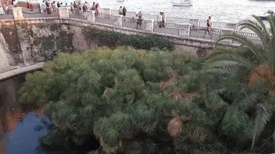 Paesaggio naturale nelle vicinanze della casa vacanze
