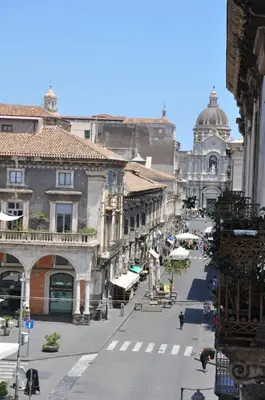 Il quartiere o una zona nella vicinanze del bed & breakfast