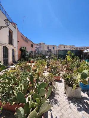 Giardino di Appartamento Ortigia Vicolo Lettighieri 24