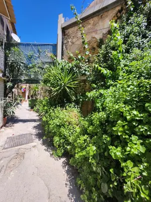 Giardino di Appartamento Ortigia Vicolo Lettighieri 28