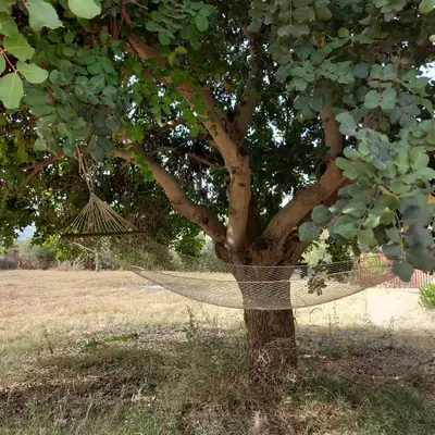 Giardino di Dimore del Carrubo Villa Ovest