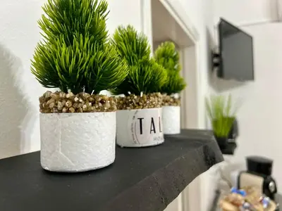 Planimetria di Talìa Home