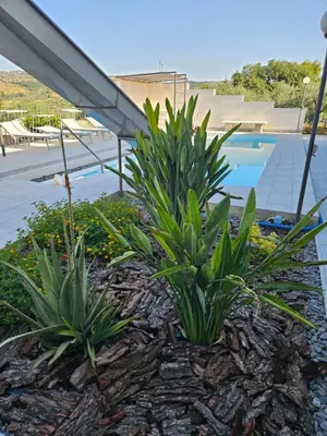 Piscina di Villa Paola Pantalica o nelle vicinanze