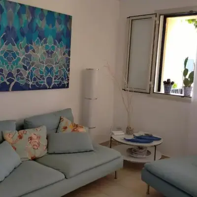 Costantino la dracena