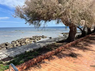 Paesaggio naturale nelle vicinanze della villa