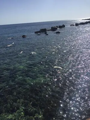 Paesaggio naturale nelle vicinanze della casa vacanze