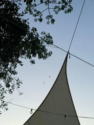 Planimetria di Fontane Felini