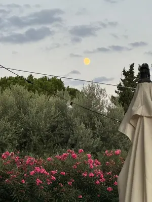 Planimetria di Fontane Felini