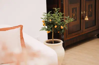 Area soggiorno di Elegante appartamento nel cuore di Siracusa