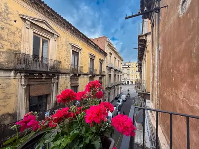 Il quartiere o una zona nella vicinanze dell'appartamento
