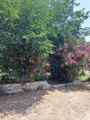 Giardino di Case rotonde