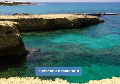 Paesaggio naturale nelle vicinanze dell'appartamento