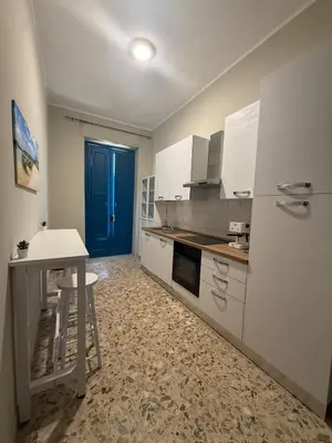 Cucina o angolo cottura di Plaja Apartments