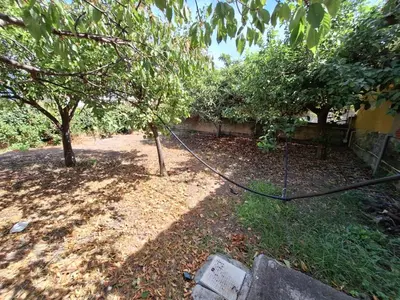 Giardino di Terrazza Sul Mare