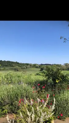 Paesaggio naturale nelle vicinanze della stanza in casa privata