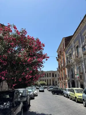 Planimetria di SIKELIA 42 - Catania Centre