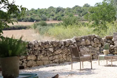 Paesaggio naturale nelle vicinanze of country house