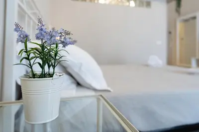 Letto o letti in una camera di Serenity