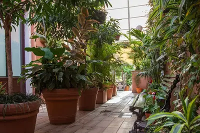 Giardino di B&B King