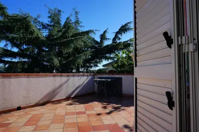Planimetria di Casa del Cedro