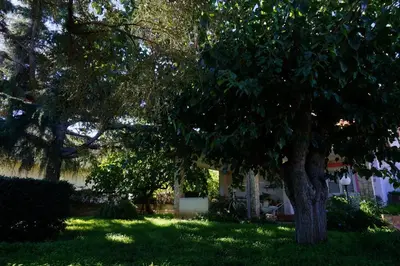 Giardino di Casa del Cedro