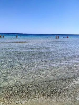 Paesaggio naturale nelle vicinanze dell'affittacamere