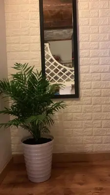 Planimetria di Casa Magica