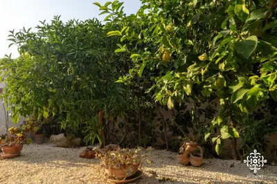 Giardino di Villa Due Mari - Seaside retreat with private pool