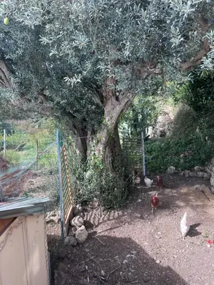 Giardino di La Rosa dei Monti Iblei