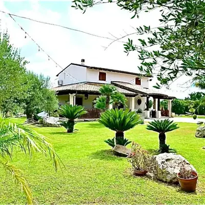 Giardino degli ulivi