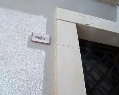 Certificato, attestato, insegna o altro documento esposto da Damarete