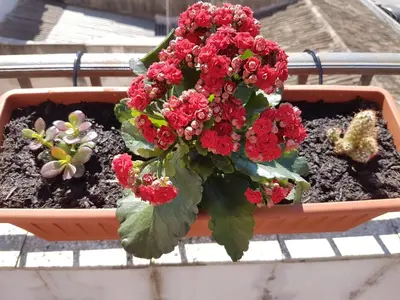 Planimetria di Holiday Home - Terrazza Di Re Ierone