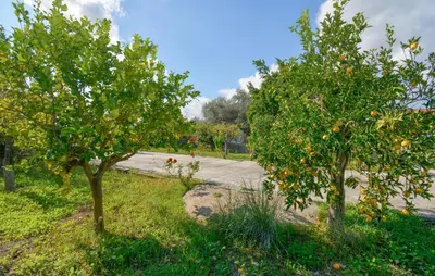 Paesaggio naturale nelle vicinanze della casa vacanze