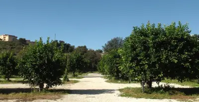 Paesaggio naturale nelle vicinanze del bed & breakfast