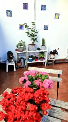 Planimetria di Mansarda Luna