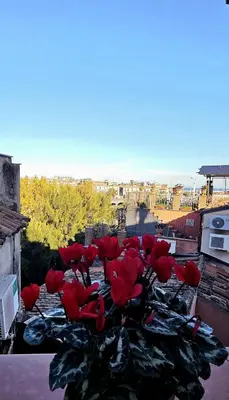 Planimetria di Mansarda Luna