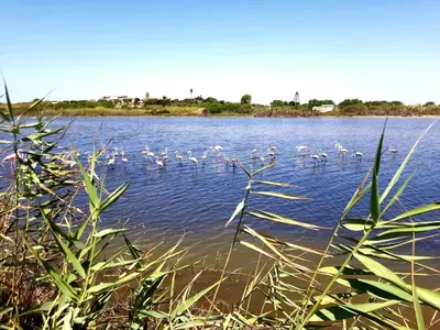 Paesaggio naturale nelle vicinanze della casa vacanze