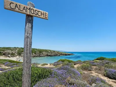 Paesaggio naturale nelle vicinanze della casa vacanze