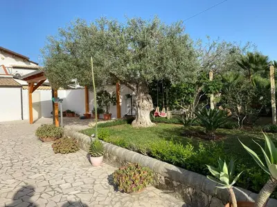 Giardino di Mansarda Ulivo