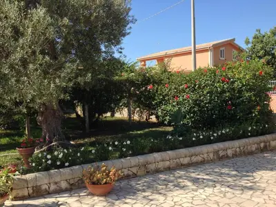 Giardino di Mansarda Ulivo
