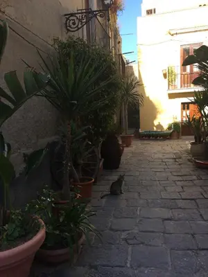 Planimetria di The Ronco Apartment