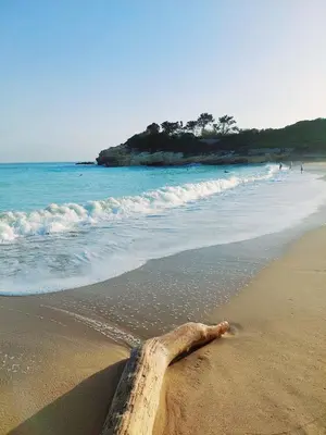 Paesaggio naturale nelle vicinanze dell'appartamento