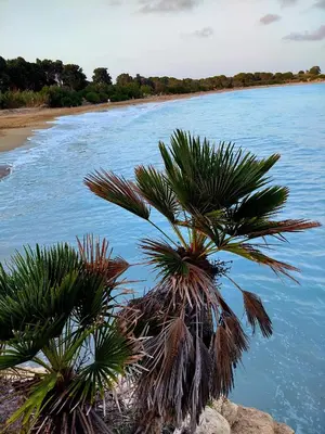 Paesaggio naturale nelle vicinanze dell'appartamento