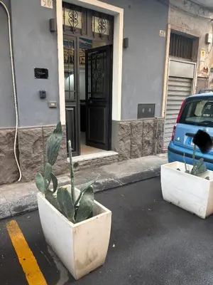 Planimetria di C'est la vie Catania
