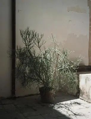 Planimetria di Le Studio Piccolo, Ortigia